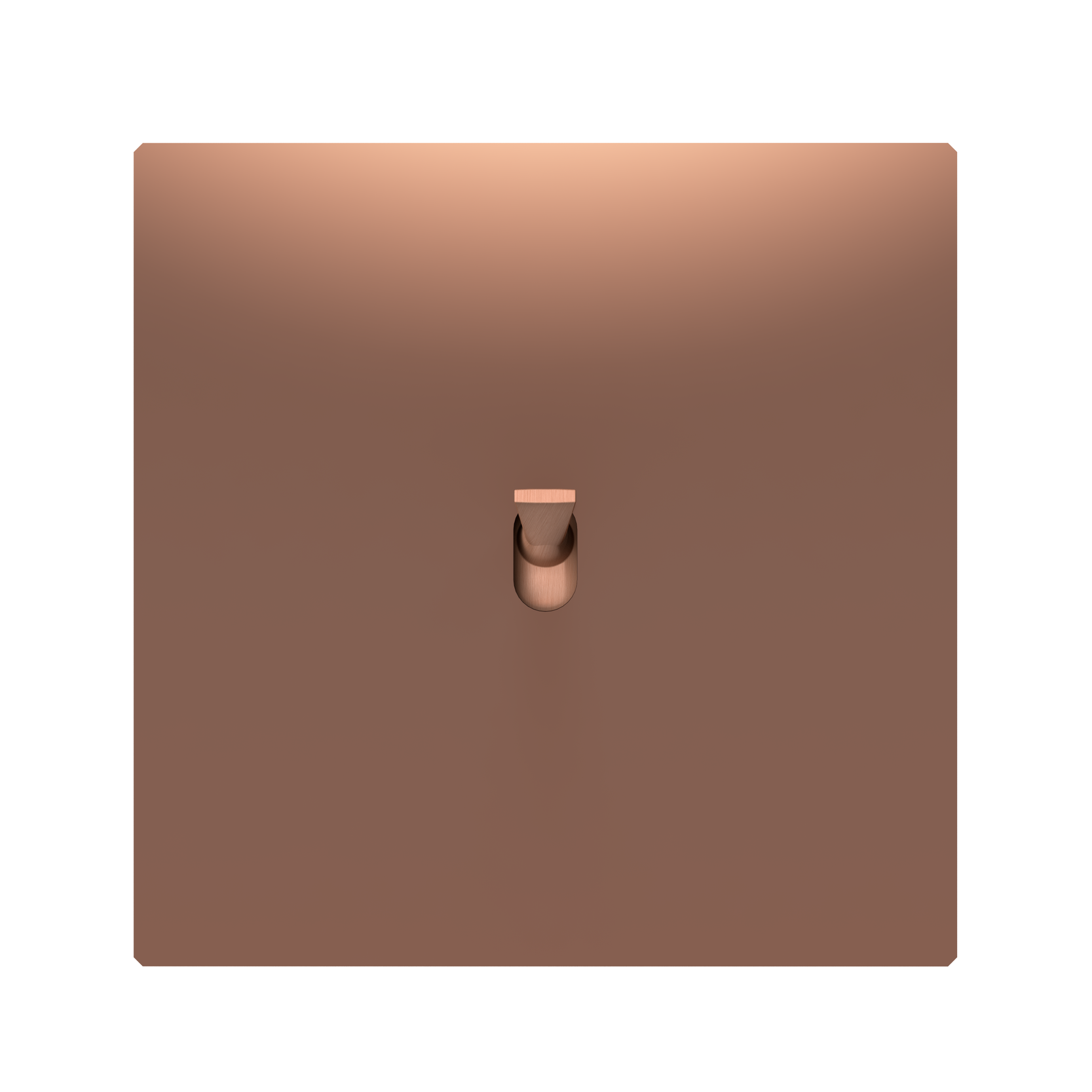 5.1 Switch in Bright Copper Brass with a Matte Copper Knob