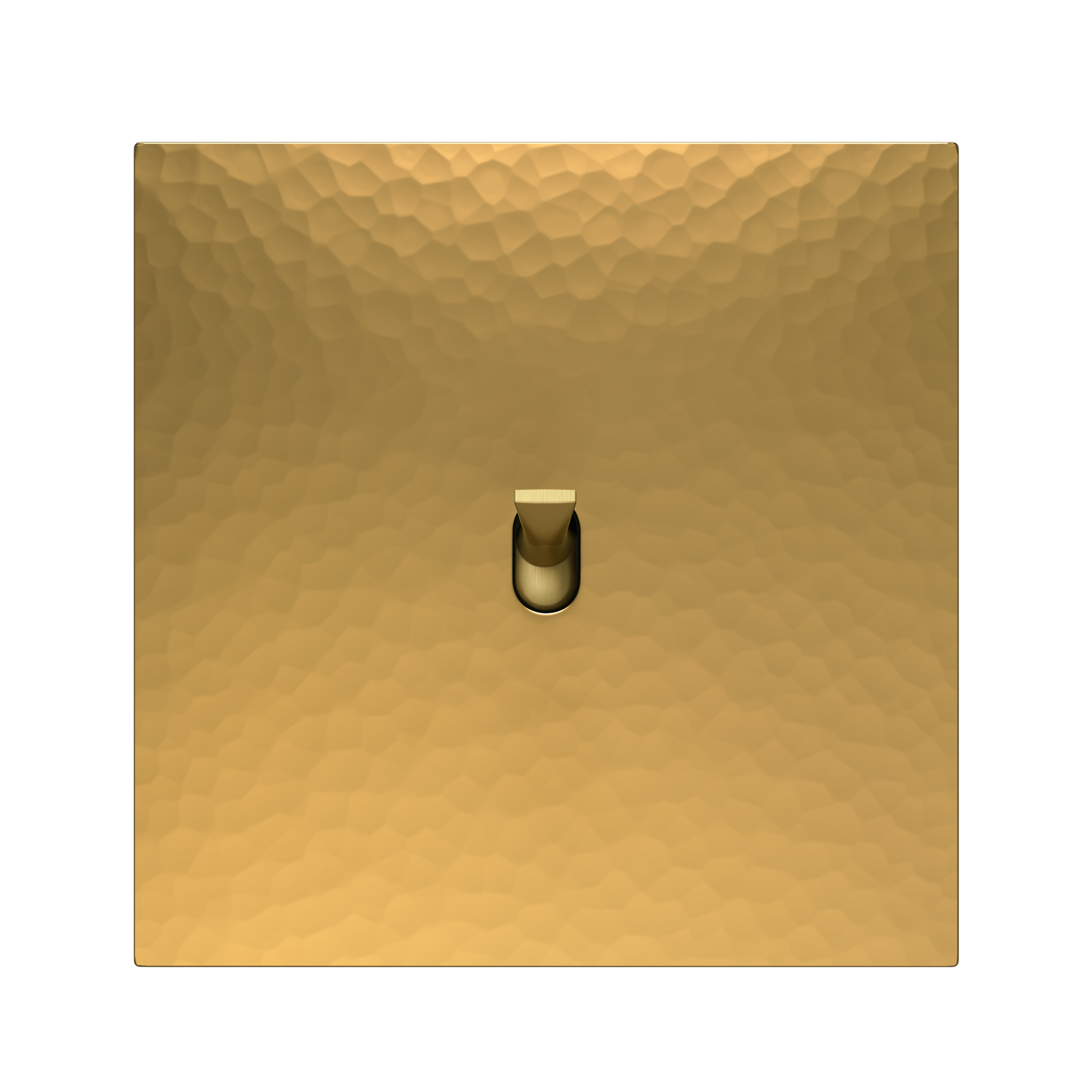 5.1 Switch in Martelé Golden Brass with a Matte Golden Knob