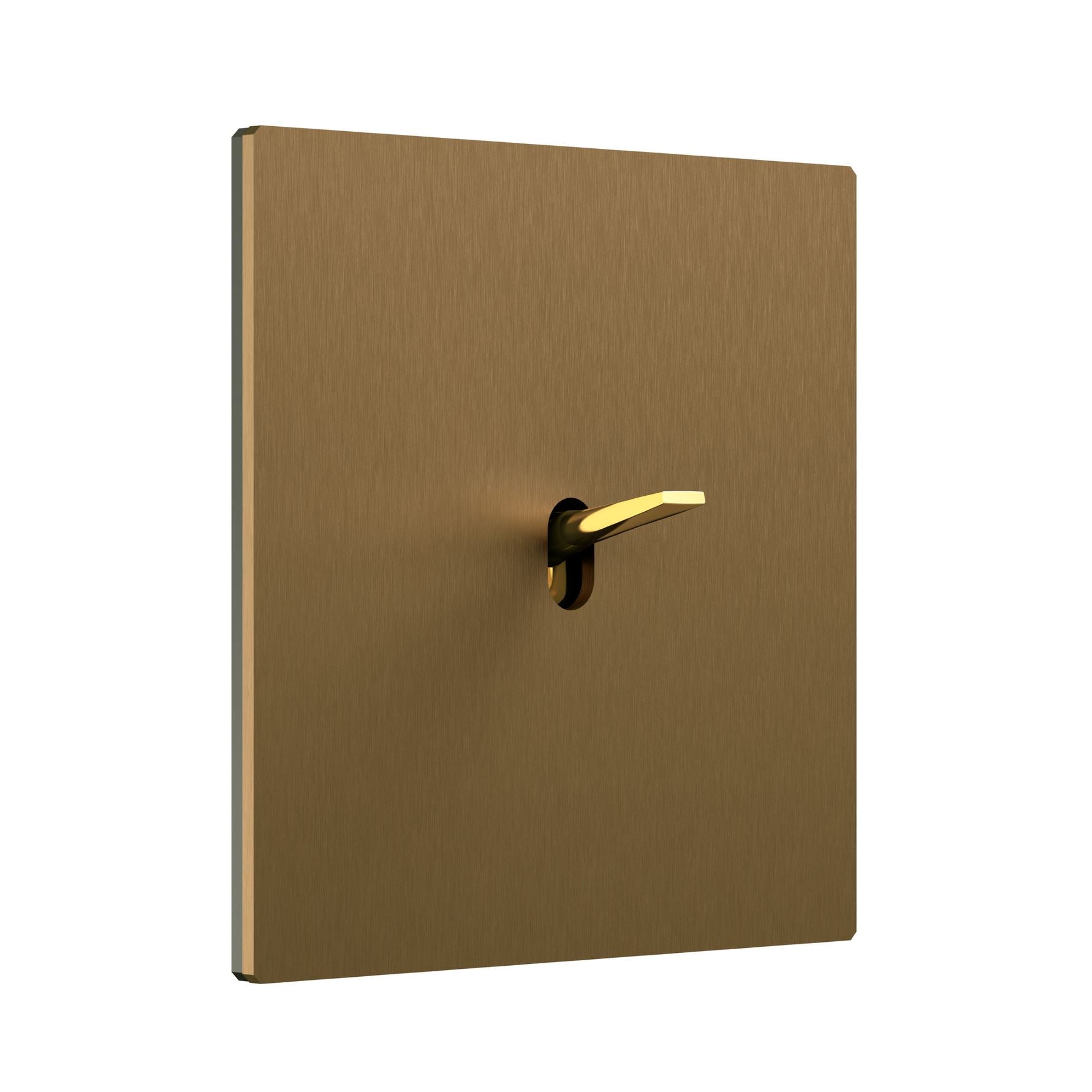 5.1 Switch in Bronze Brass with a Bright Golden Knob